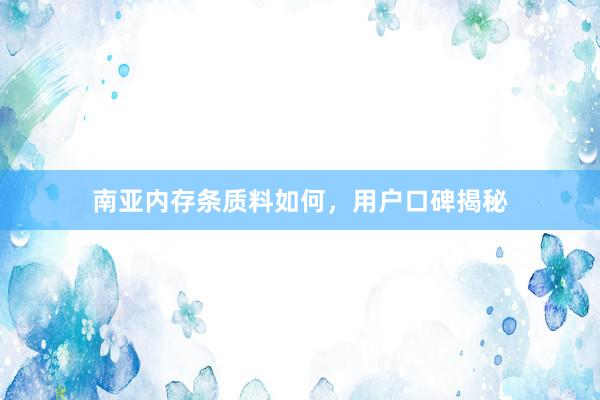 南亚内存条质料如何，用户口碑揭秘